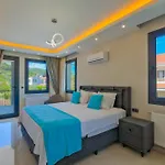 Infinity Olive فتحية