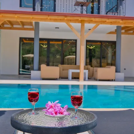 Villa Infinity Olive *