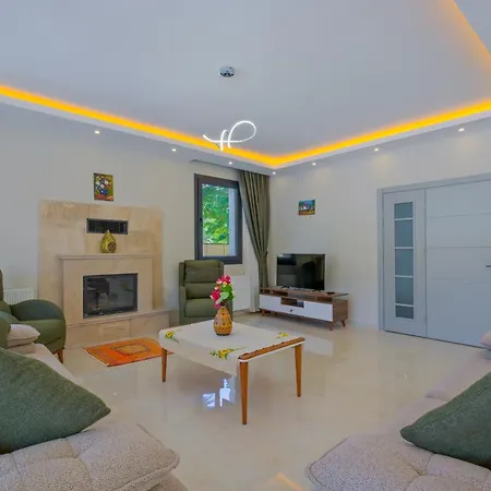 Villa Infinity Olive Fethiye