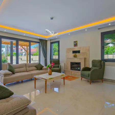 Villa Infinity Olive *