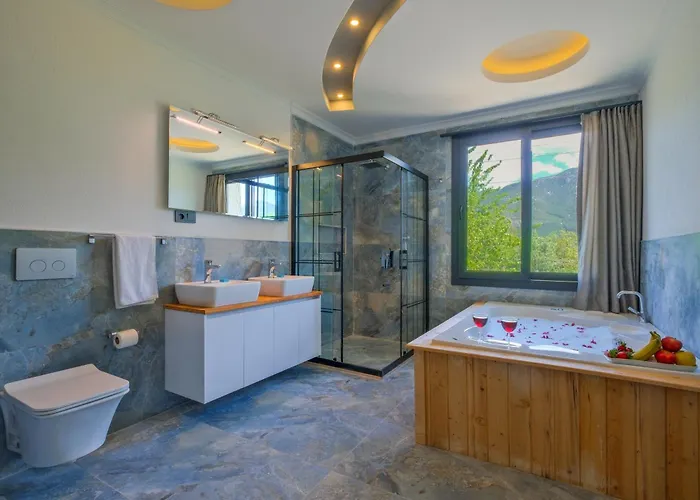 Villa Infinity Olive *