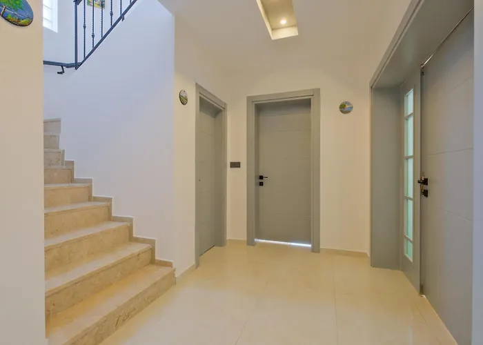 Villa Infinity Olive Fethiye