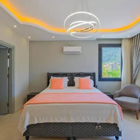 Infinity Olive フェティエ