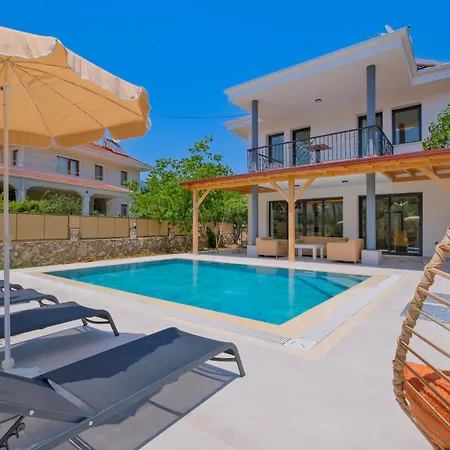 Infinity Olive * フェティエ