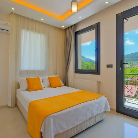 Infinity Olive ヴィラ フェティエ