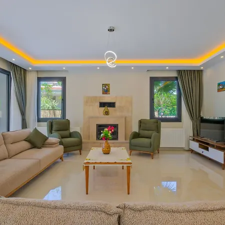 וילה Infinity Olive *