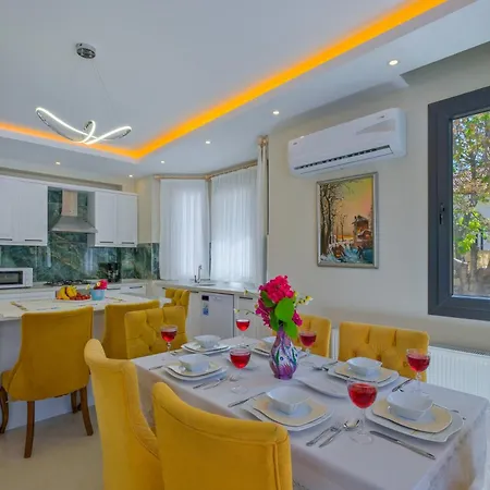 ヴィラ Infinity Olive フェティエ