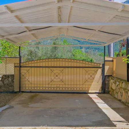 Infinity Olive * פאטהיה