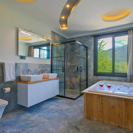 ヴィラ Infinity Olive *