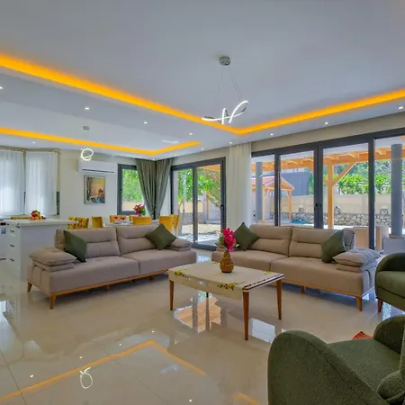 Infinity Olive וילה