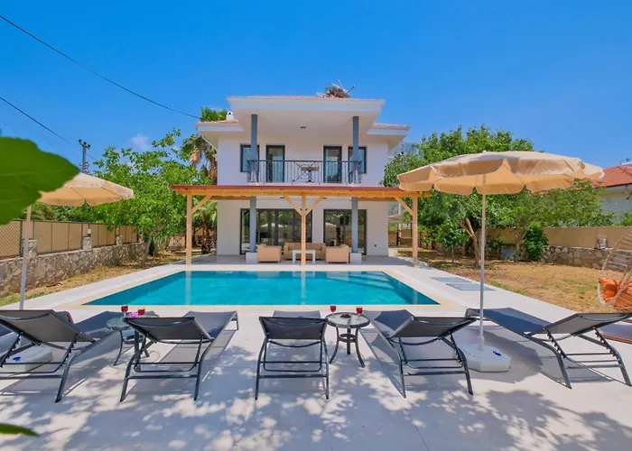 Infinity Olive Vila *