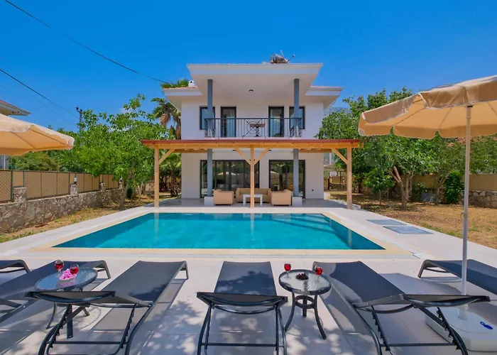 Infinity Olive Vila Fethiye