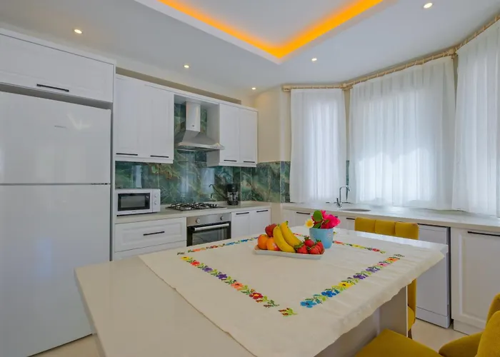 Vila Infinity Olive *