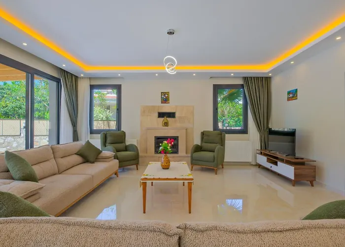 Villa Infinity Olive *