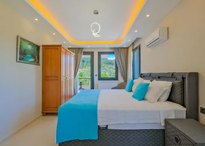 Infinity Olive Vila *