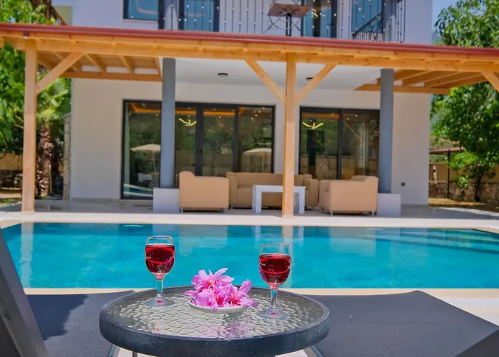 Villa Infinity Olive *