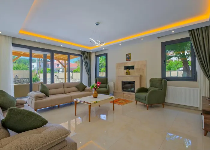 Villa Infinity Olive *